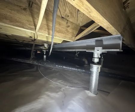 Johnson Pest Solutions