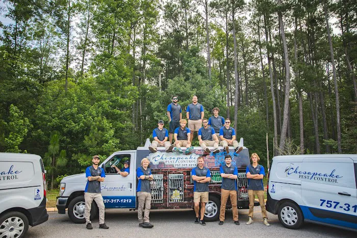 Chesapeake Pest Control Picture 9