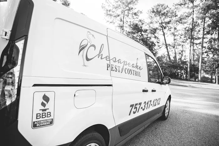 Chesapeake Pest Control Picture 5