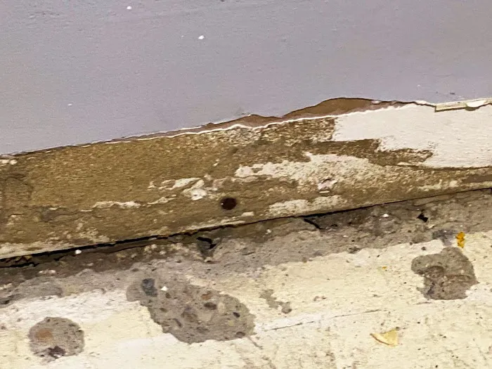 Precision Pest Management Picture 8