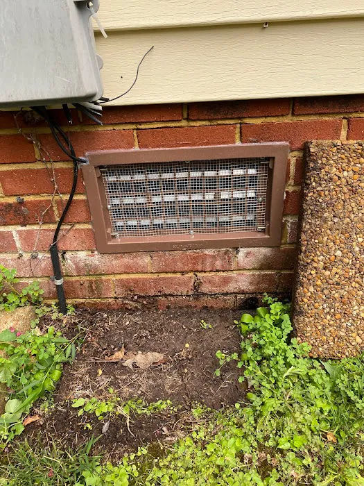 Precision Pest Management Picture 5