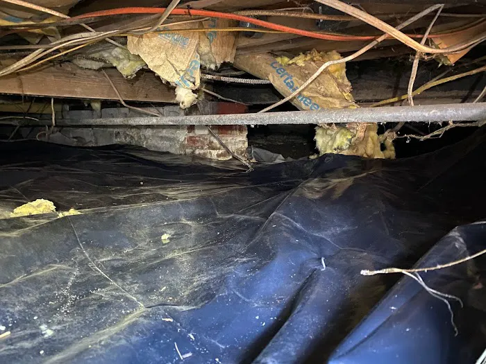 Precision Pest Management Picture 1