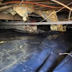 Precision Pest Management