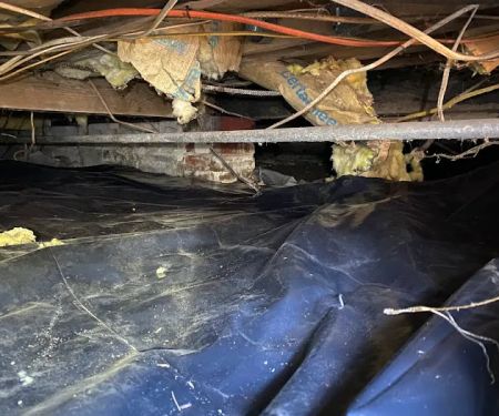 Precision Pest Management