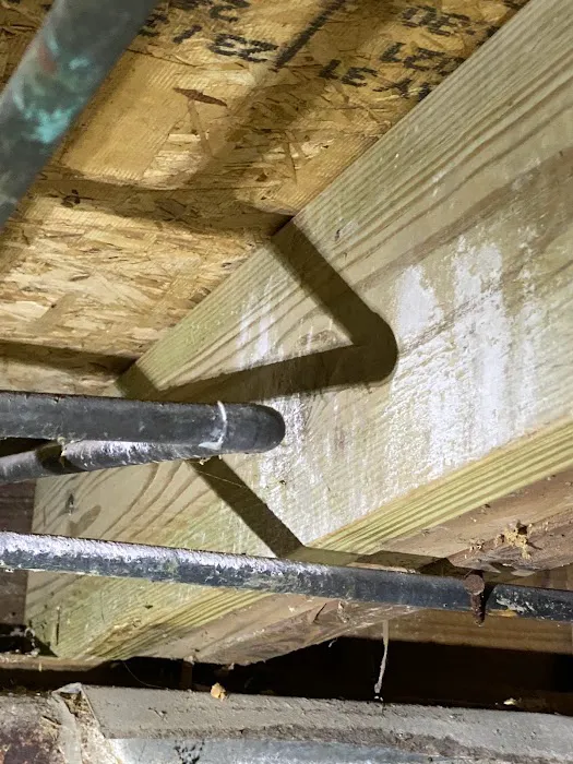 Precision Pest Management Picture 9