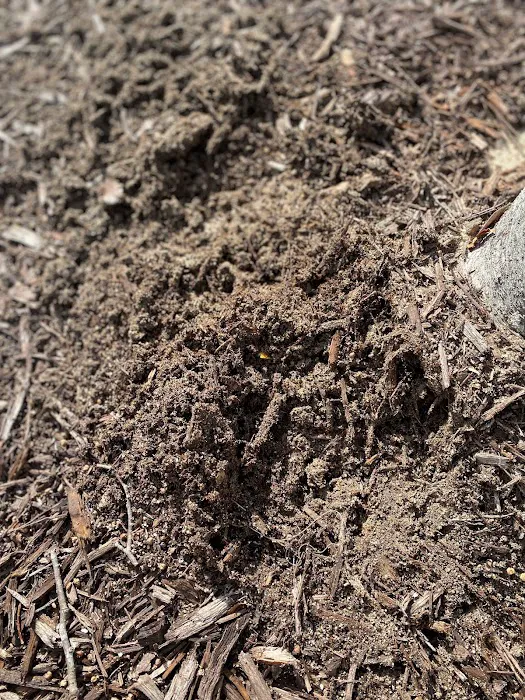 Precision Pest Management Picture 10