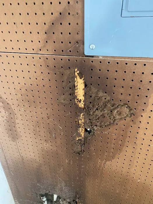 Precision Pest Management Picture 6