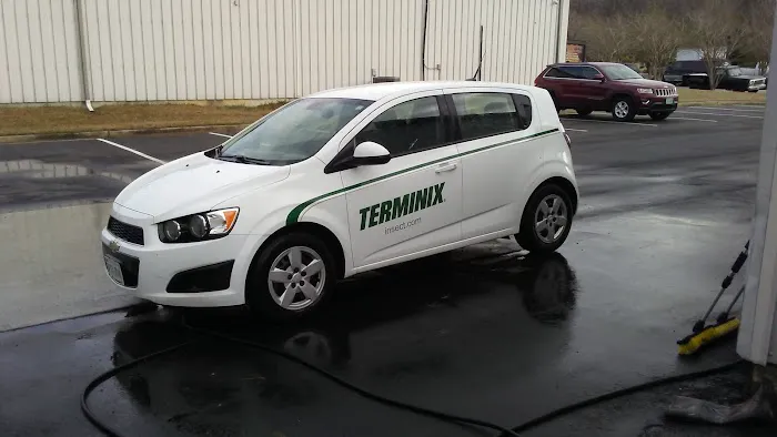 Terminix Picture 6
