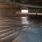 Hampton Roads Termite & Pest Control Inc.