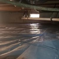 Hampton Roads Termite & Pest Control Inc. ico