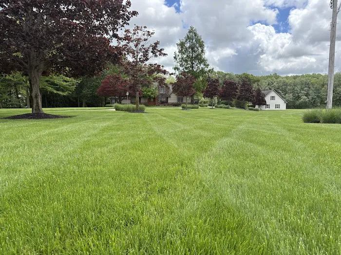 Ecolawn Inc Picture 10