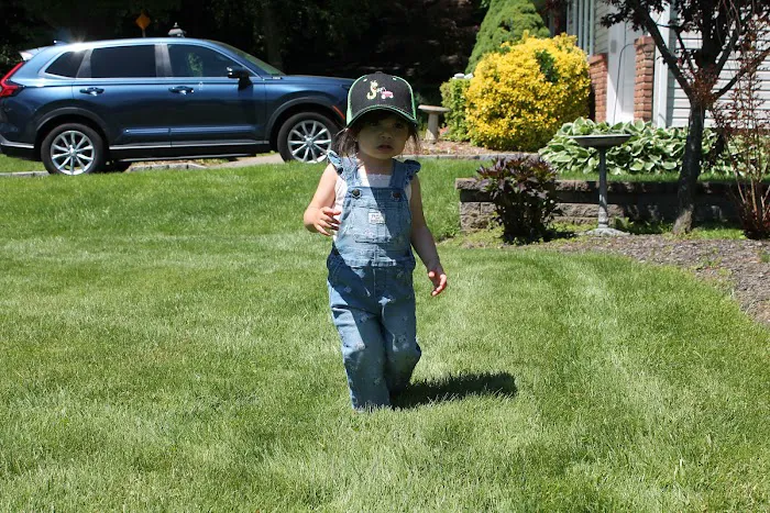 Ecolawn Inc Picture 4