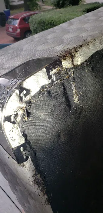 Perfect Pest Control Picture 2
