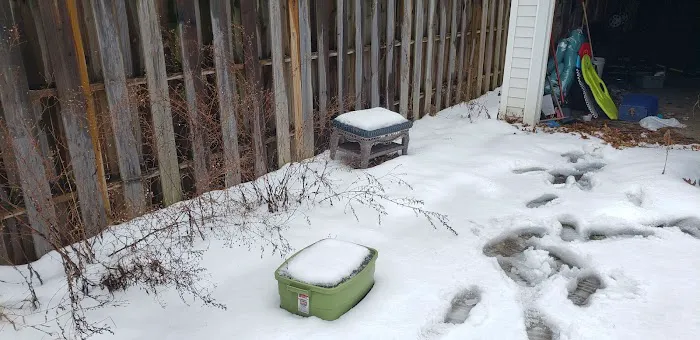 Perfect Pest Control Picture 3
