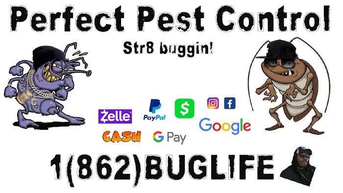 Perfect Pest Control Picture 7