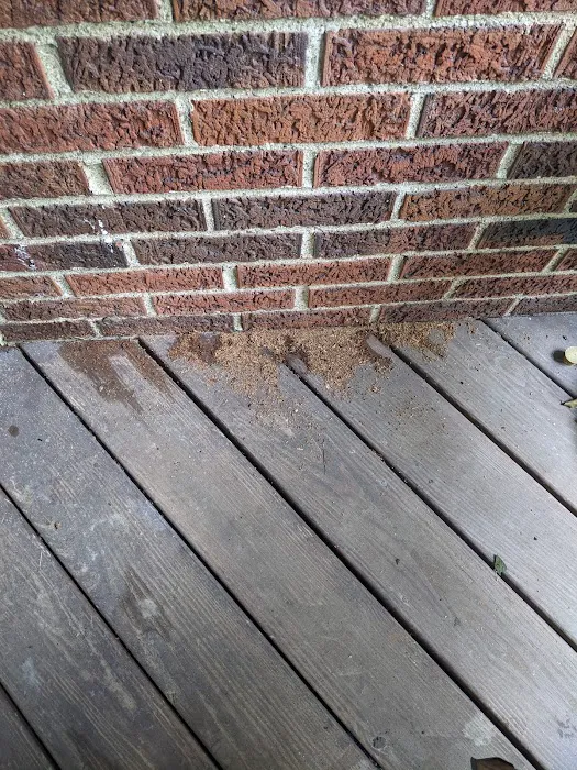 Action Pest Control Inc Picture 2