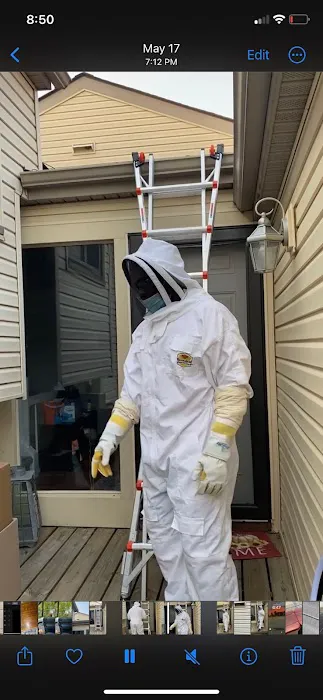 Concrete Pest Solutions Picture 3