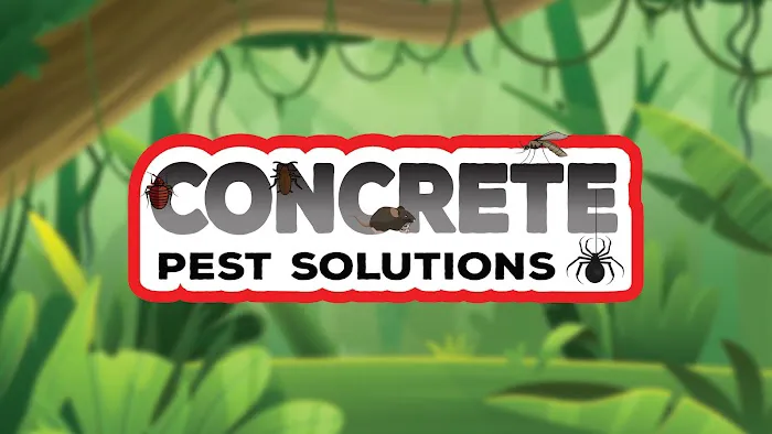 Concrete Pest Solutions Picture 1