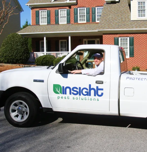 Insight Pest Solutions Picture 3