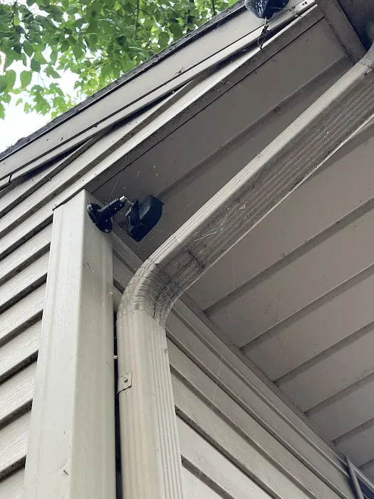 Insight Pest Solutions Picture 8