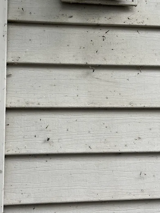 Insight Pest Solutions Picture 10