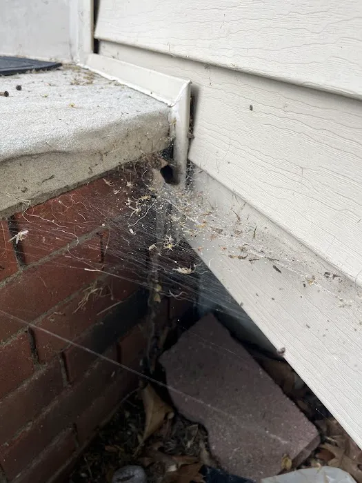 Insight Pest Solutions Picture 4