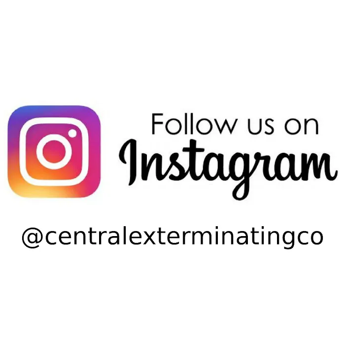 Central Exterminating Company Picture 4