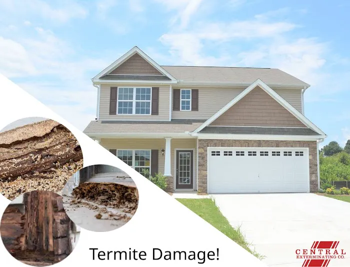 Central Exterminating Company Picture 8