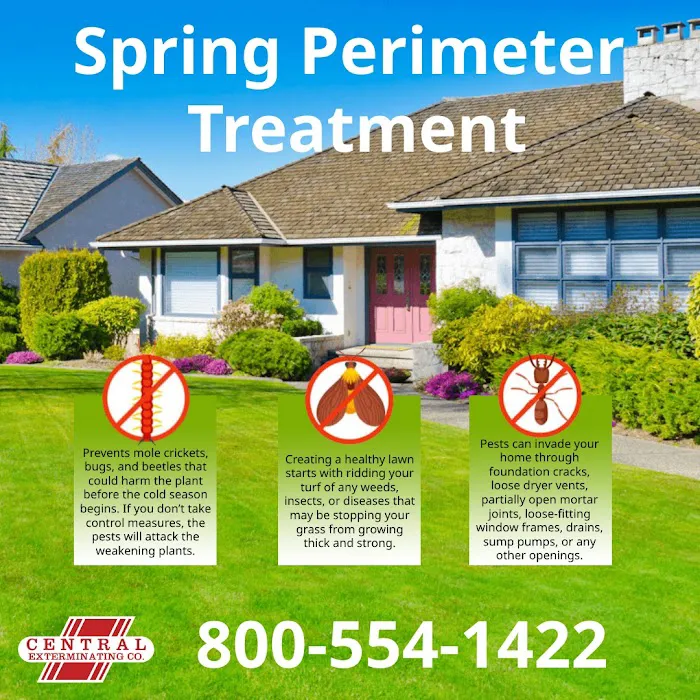 Central Exterminating Company Picture 7
