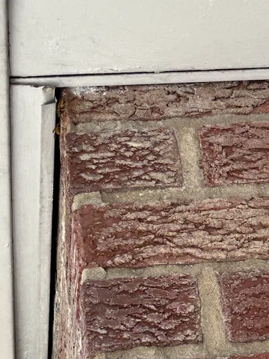 EcoShield Pest Solutions Picture 9
