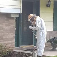 progressive Pest Control ico
