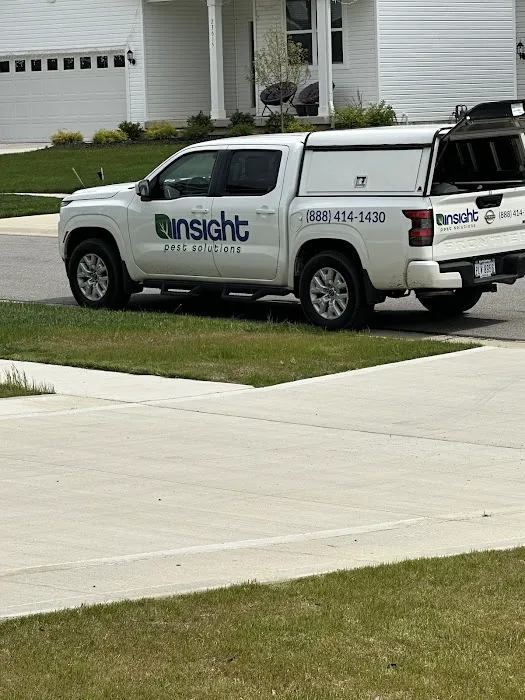 Insight Pest Solutions Picture 3