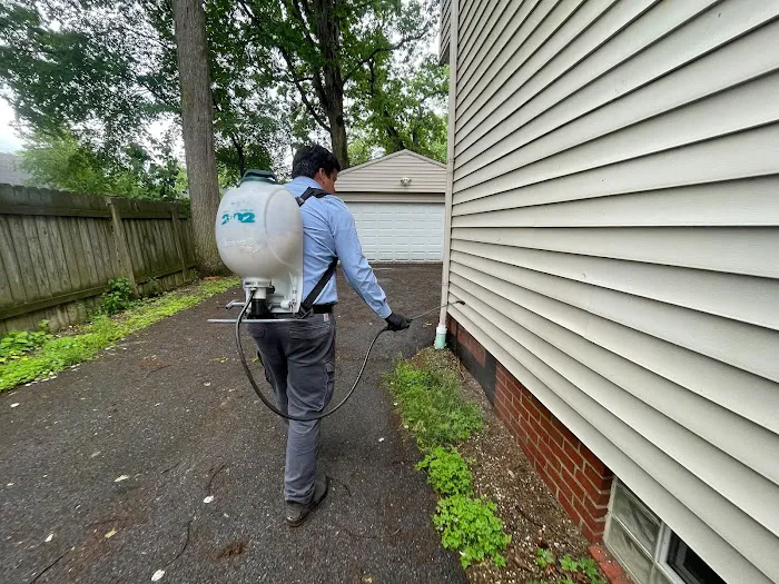 Insight Pest Solutions Picture 6