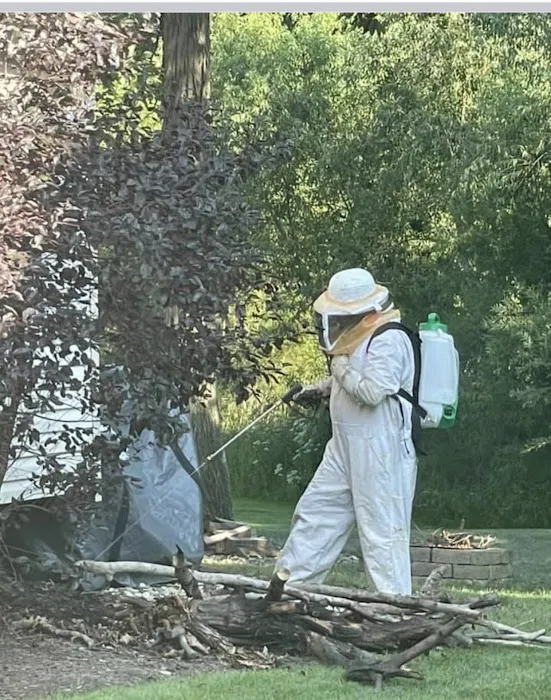 A-Men Pest Control Picture 5