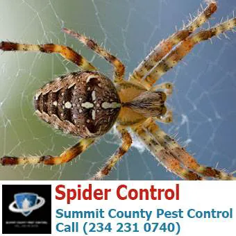 Summit County Pest Control Picture 9