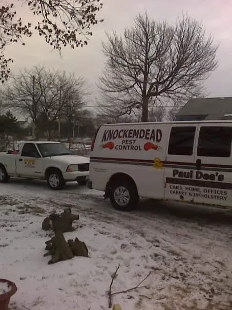 Knockemdead pest control Picture 8