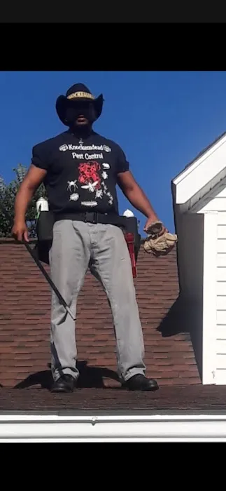 Knockemdead pest control Picture 7