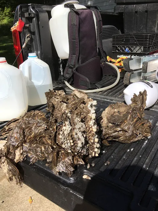 Bugbountyhuntersllc Picture 7