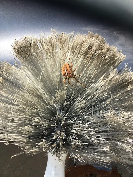 Bugbountyhuntersllc Picture 3