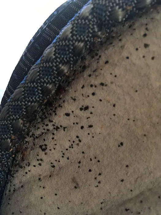 Bugbountyhuntersllc Picture 5