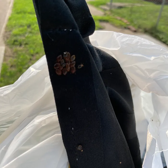 Bugbountyhuntersllc Picture 4