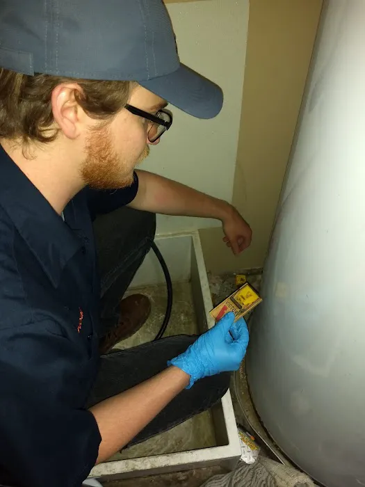 Hygienic Solutions Pest Control Picture 2