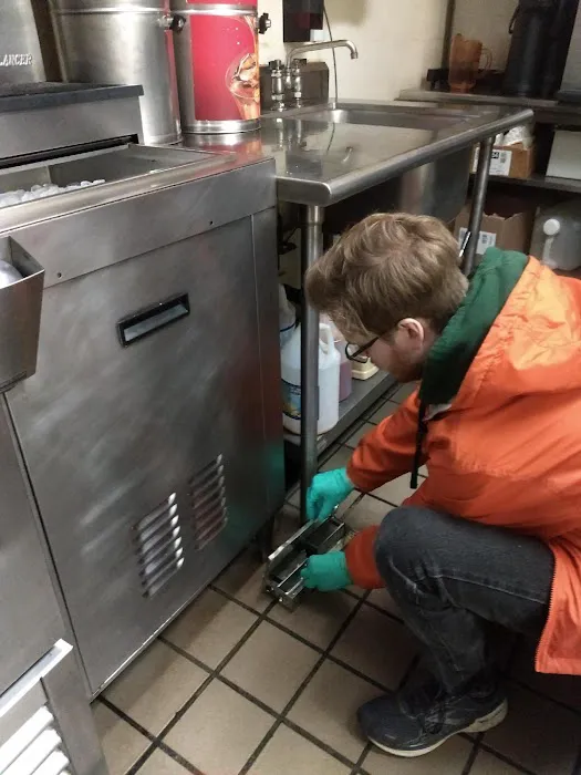Hygienic Solutions Pest Control Picture 6