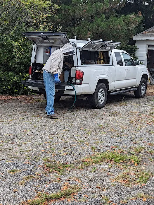 Cleveland Bee Removal Picture 4
