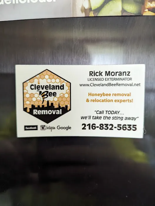 Cleveland Bee Removal Picture 2