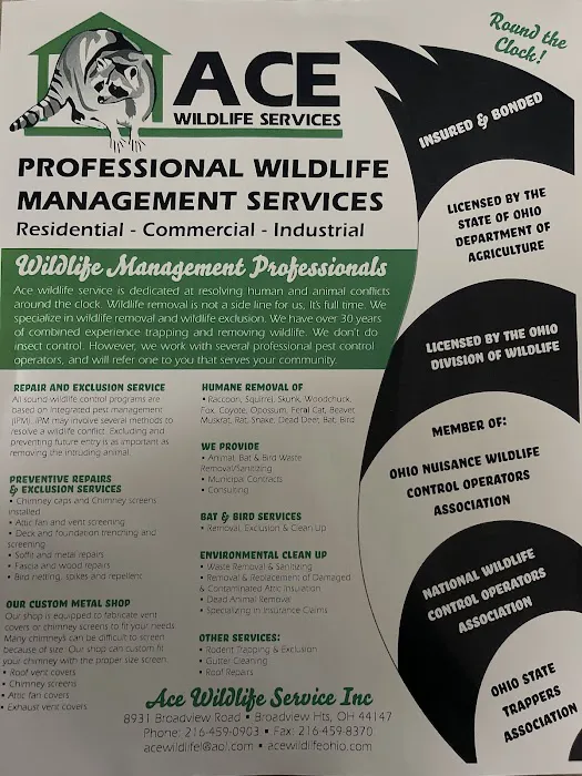 Ace Wildlife Services Inc Picture 7