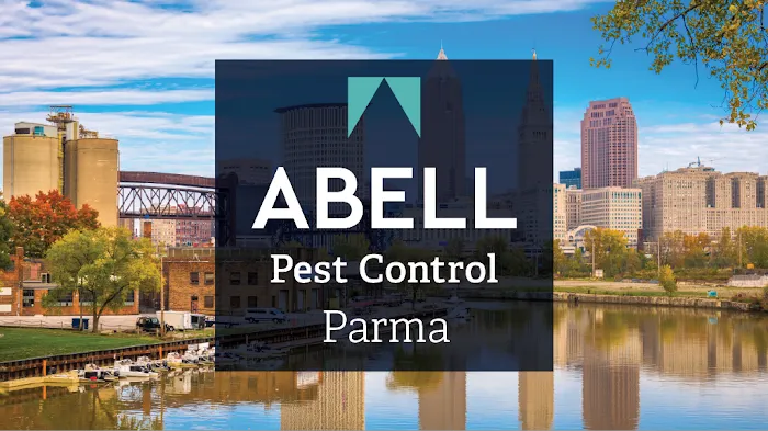 Abell Pest Control Picture 4