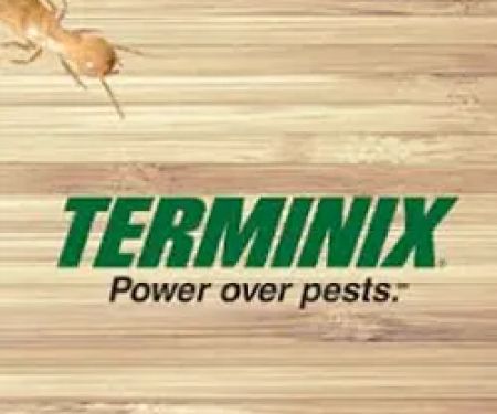 Pest Control Service