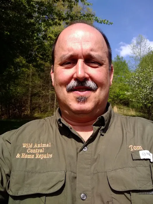 Wild Animal Control and Home Repairs LLC Picture 3