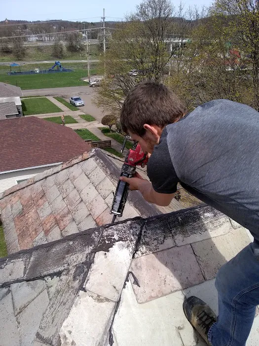 Wild Animal Control and Home Repairs LLC Picture 8
